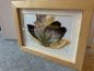 Preview: Blumenbild 4