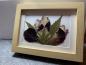 Preview: Blumenbild 5