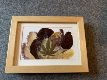 Blumenbild 2