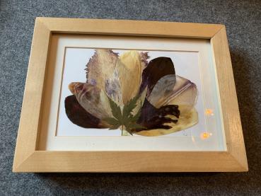 Blumenbild 1