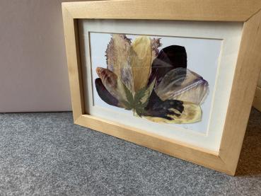 Blumenbild 1