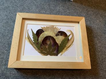 Blumenbild 3