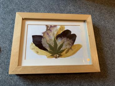 Blumenbild 4