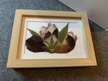 Blumenbild 5