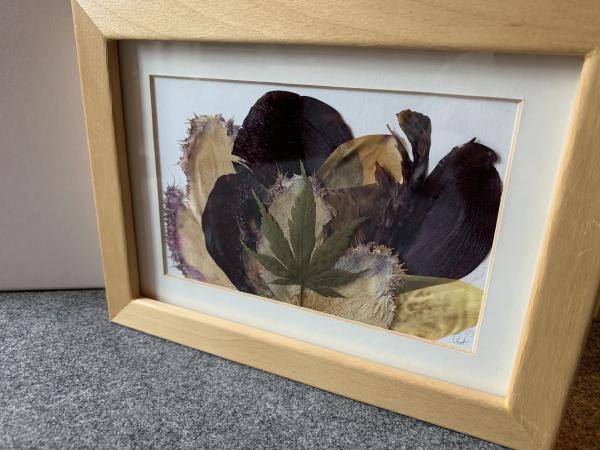 Blumenbild 2