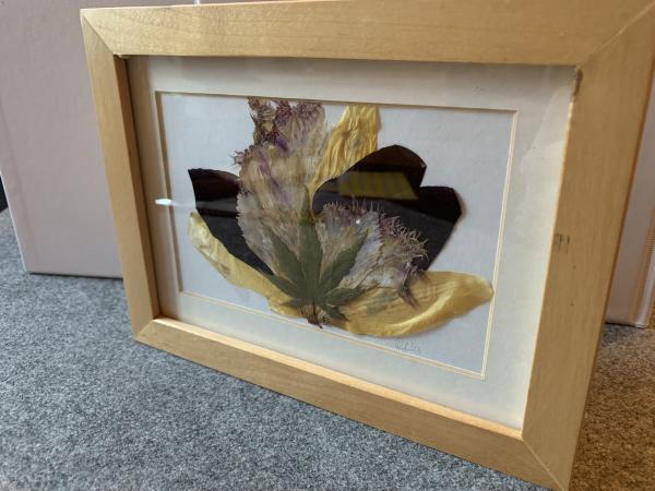 Blumenbild 4