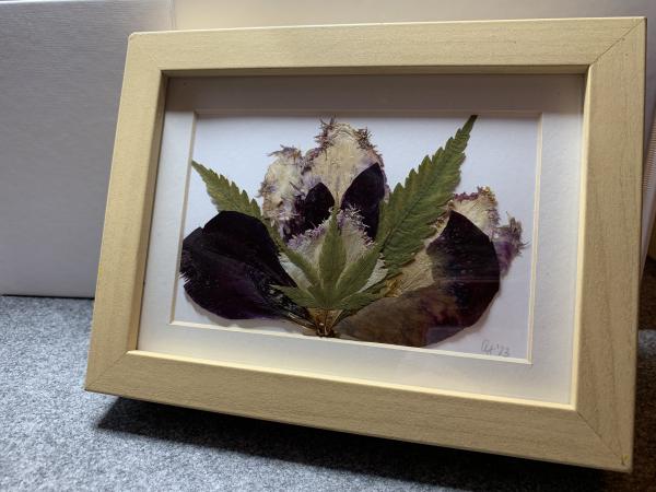 Blumenbild 5