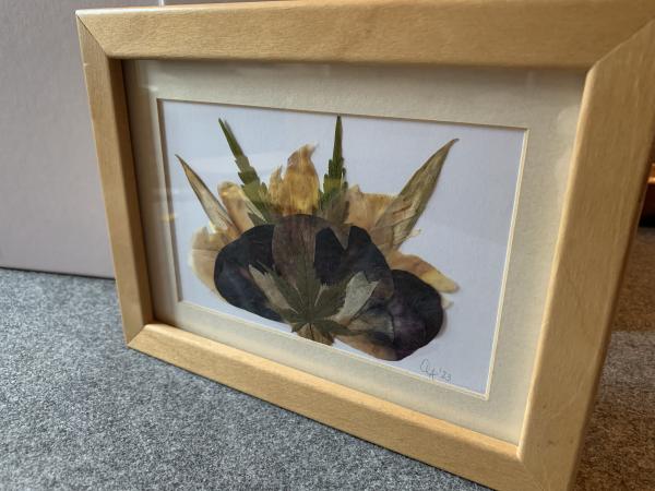 Blumenbild 6