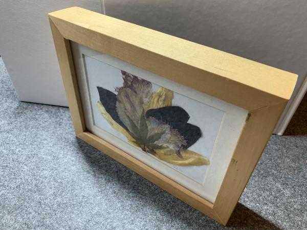 Blumenbild 4