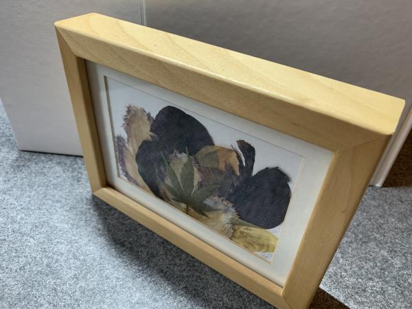 Blumenbild 2