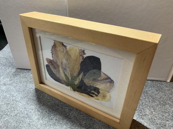 Blumenbild 1